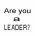 Are You a Leader?